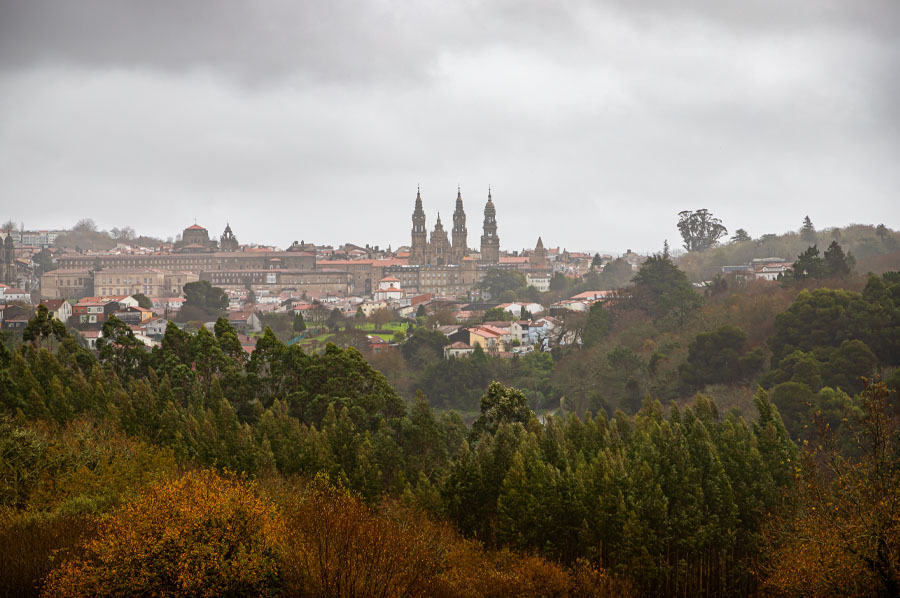 mirador