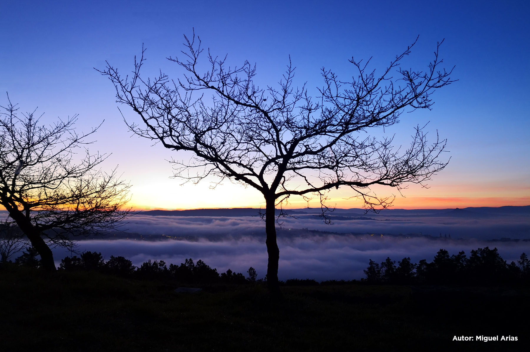 Mirador O Pedroso