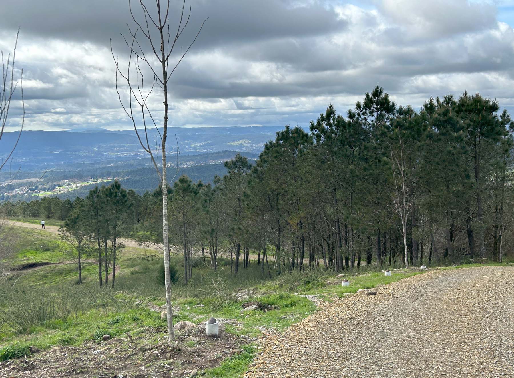 Mirador O Pedroso