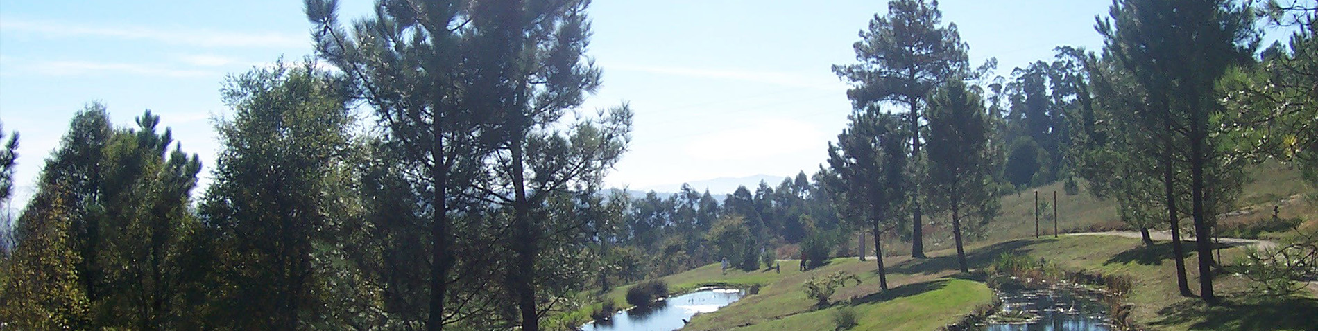 Miradoiro do Pedroso